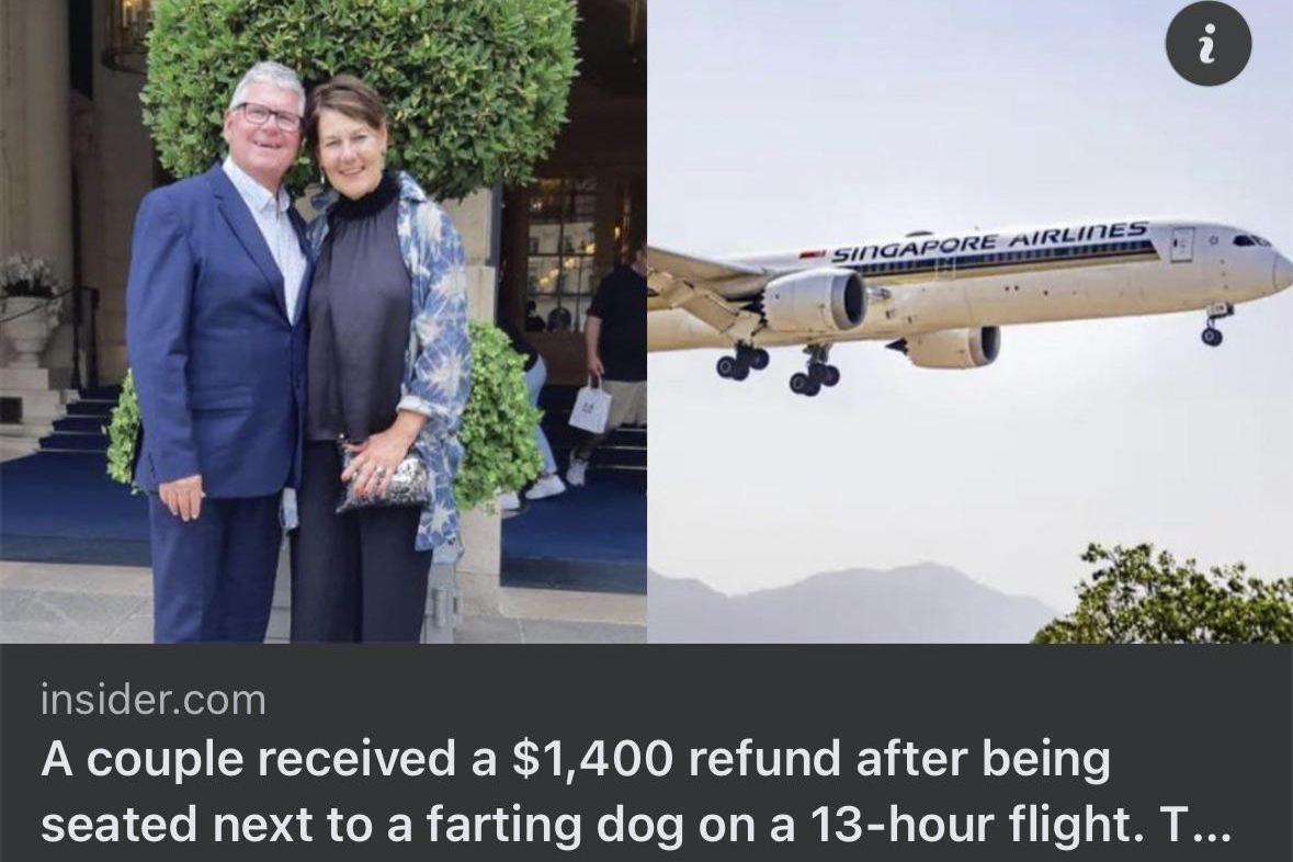 Singapore Airlines để vợ chồng người New Zealand ngồi cạnh một chú chó